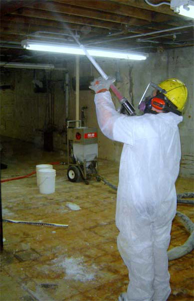 Goodyear Arizona mold Remova
