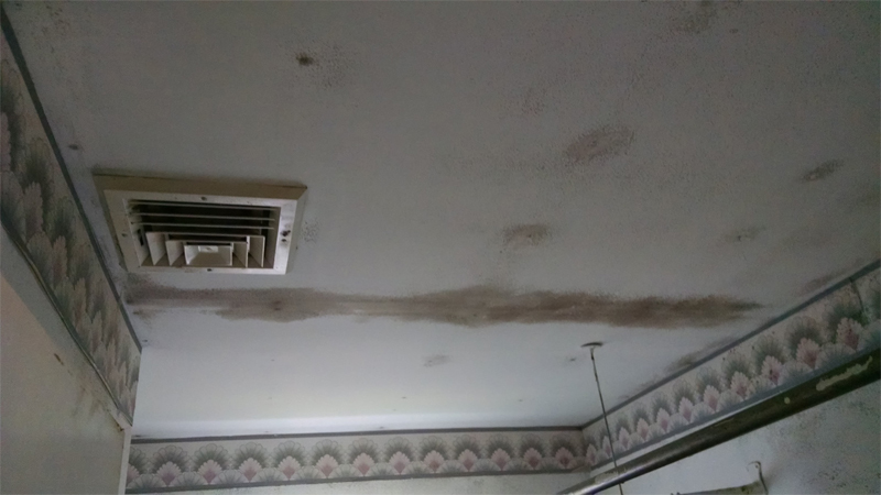 mold inspection in Goodyear
