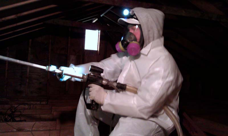mold remediation Goodyear