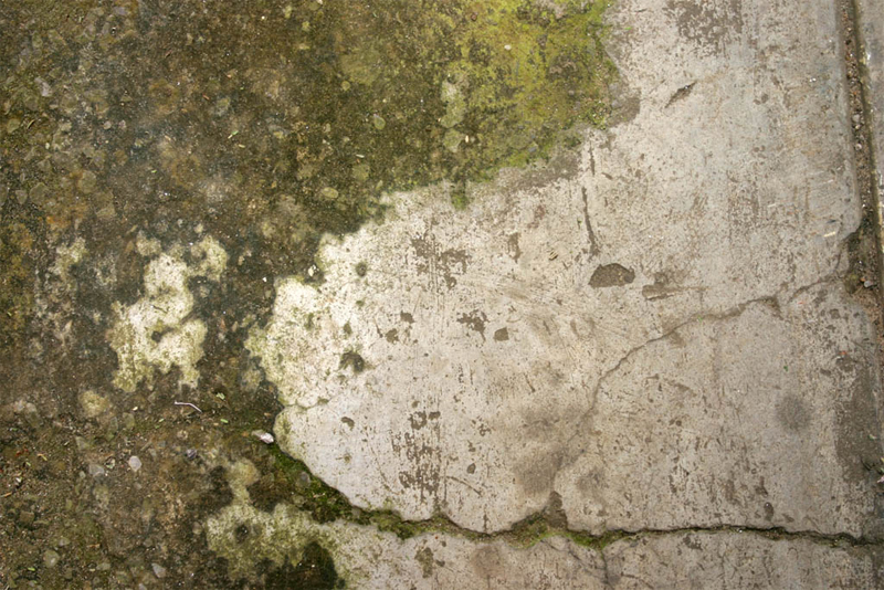 mold remediation in Goodyear